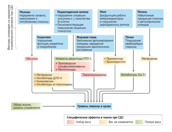 Схема лечения сахарного диабета 2 типа