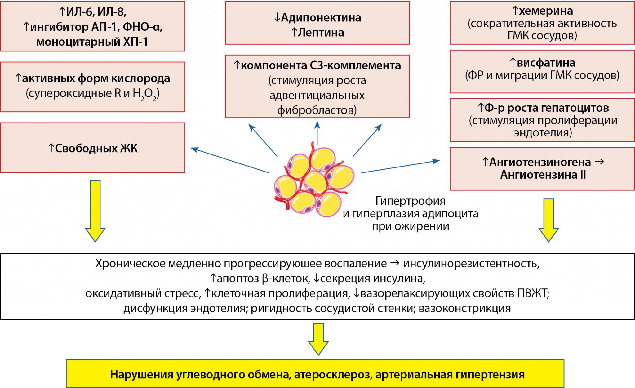 Как похудеть при инсулинорезистентности на таблетках быстро